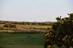 DSC_1776