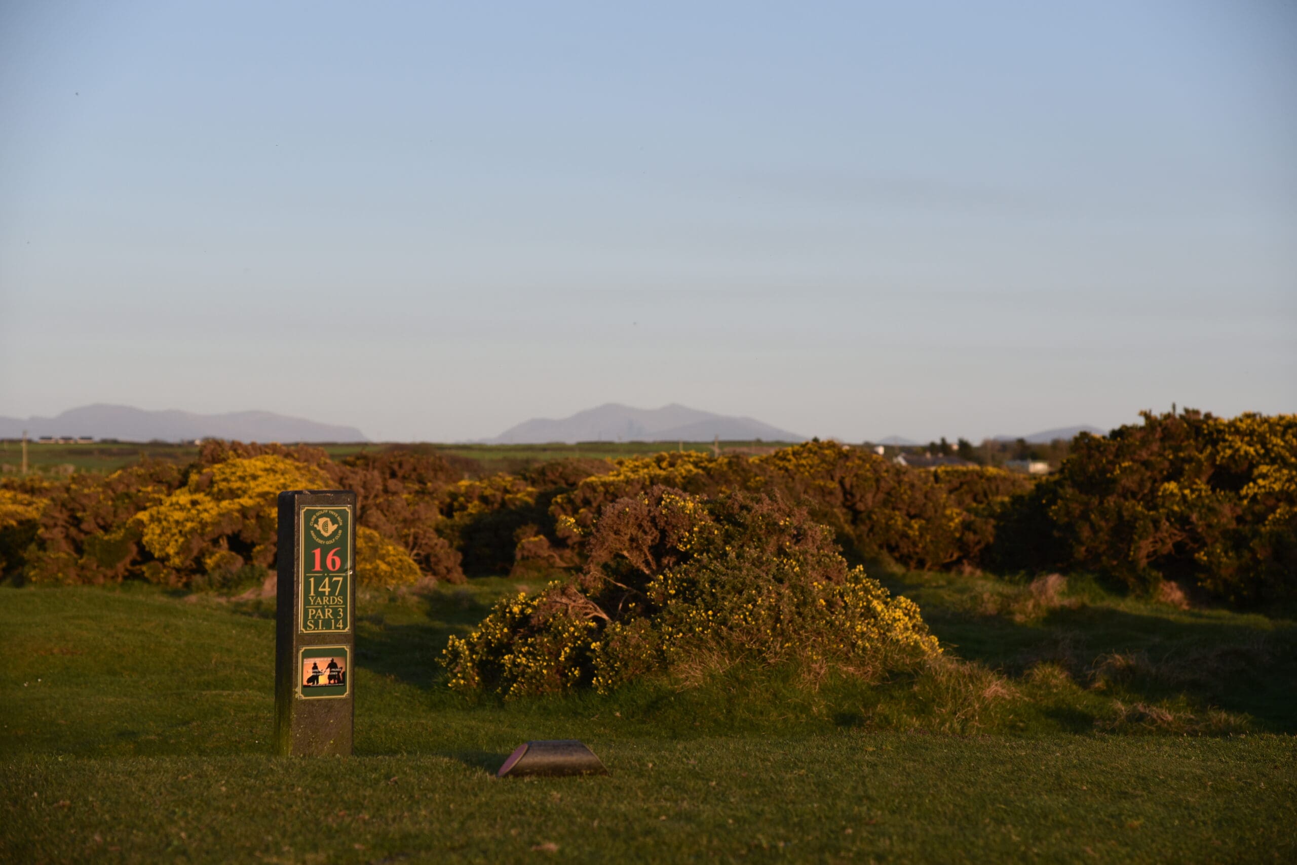 DSC_1778