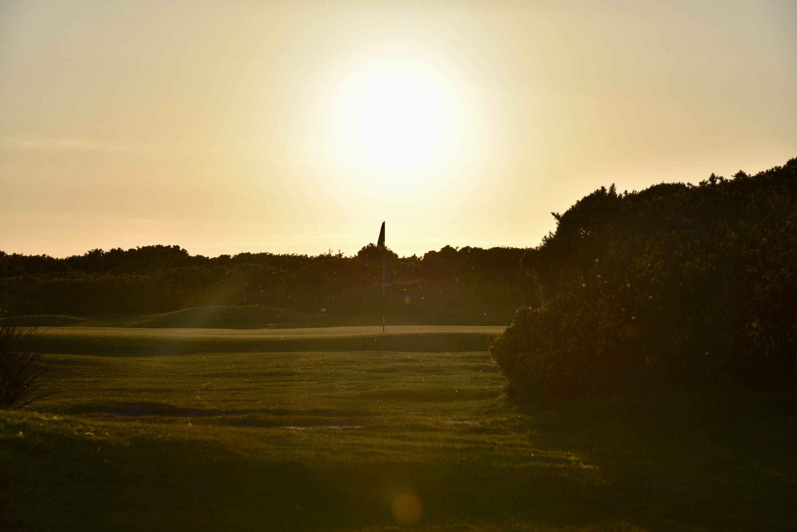 DSC_1780